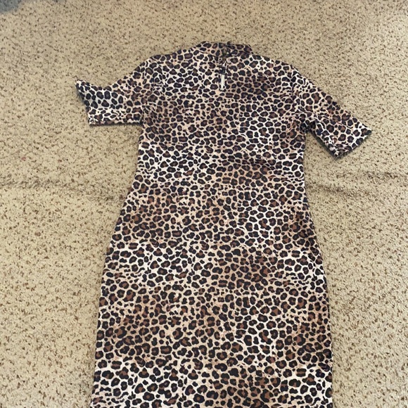 I See Spots! - Picture 2 of 2